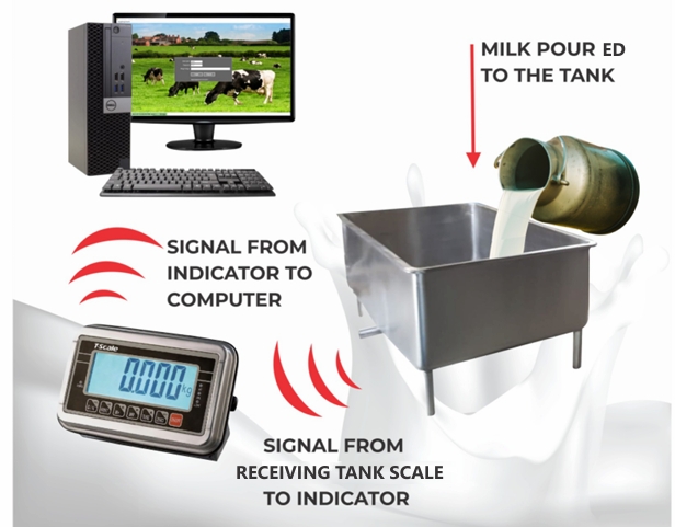 Indicators & Software